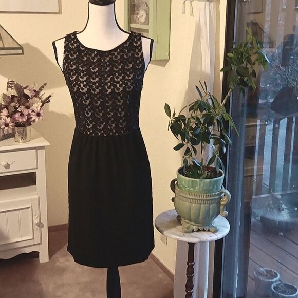 Loft Lace and Chiffon Skirt. Lace. Whimsigoth. Dressy - Picture 1 of 13